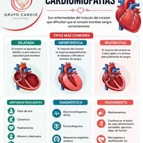 Imagen informativa del corazón